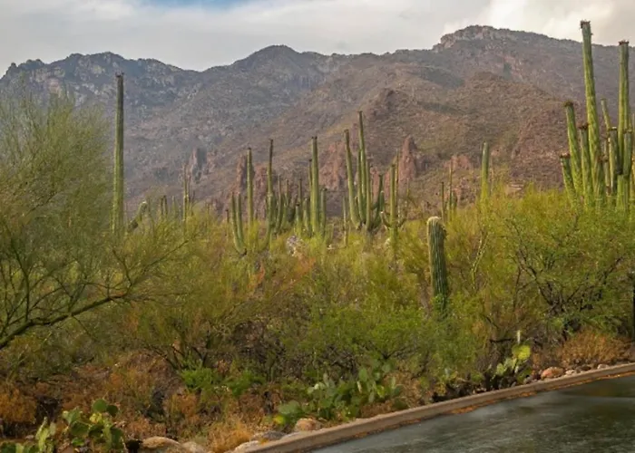 Holiday home La Casa At Canyon View -ventana *